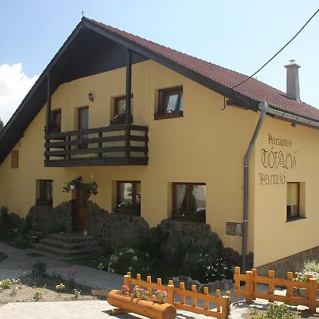 Tofalvi